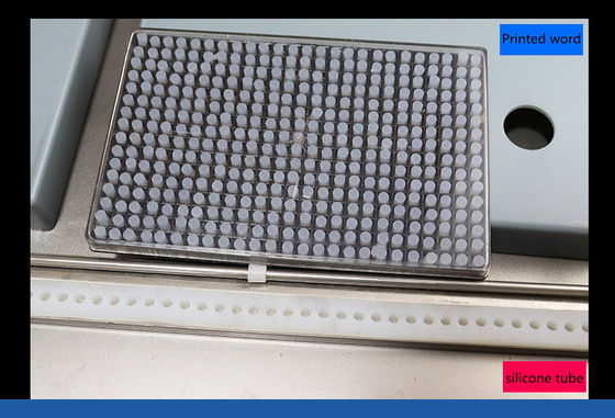 Máquina de embalaje al vacío de carne de dos cámaras con 2 tiras de sellado y 220V/380V de voltaje