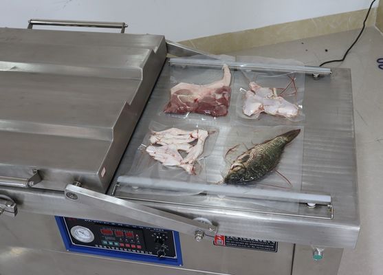 Ancho del sello 10 mm DZ-600 Fecha de funcionamiento fácil Máquinas de embalaje al vacío de palma para el vacío de pescado