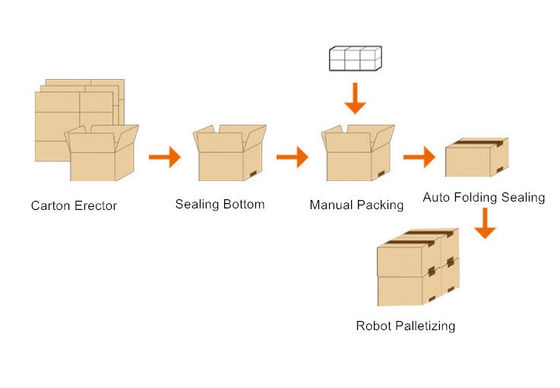 IP65 Línea de embalaje con caja de bolsas de cartón caja erector sistema de paletización de sellador plegable