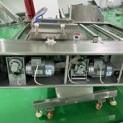 Máquina de embalaje a vacío de tipo de cinta continua para camarones secos y salmón ahumado